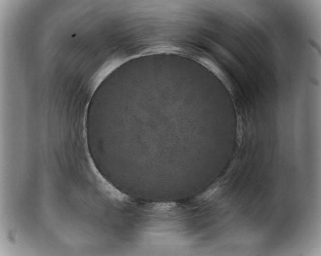 X0000101711055200807101600