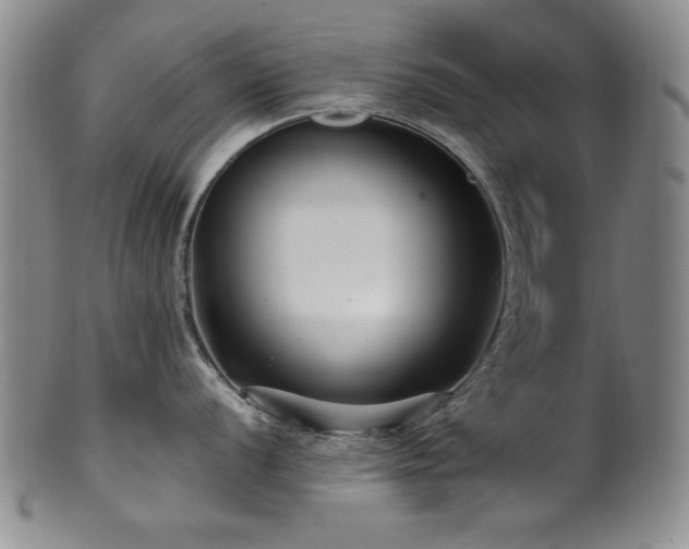 X0000101711056200807101600