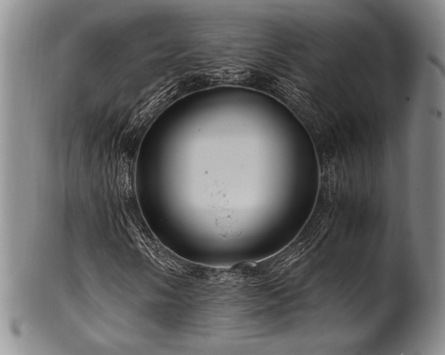 X0000101711058200807101559