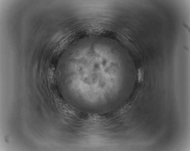 X0000101711059200807101559
