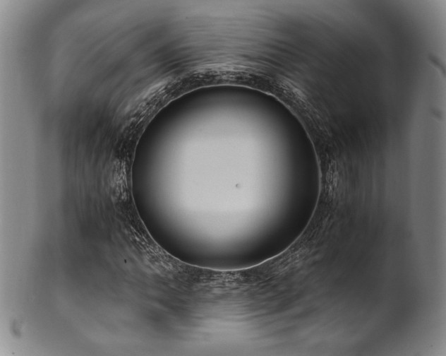X0000101711062200807101559