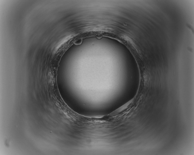 X0000101711064200807101559