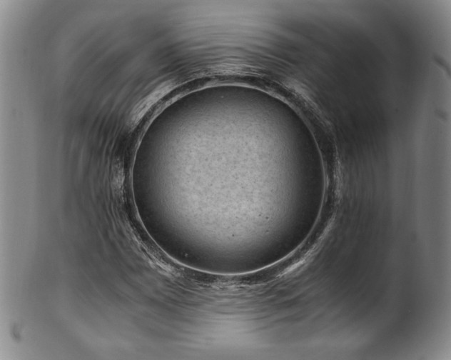 X0000101711065200807101559