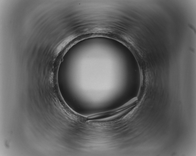 X0000101711066200807101559