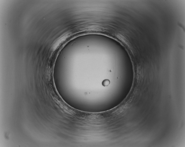 X0000101711067200807101559