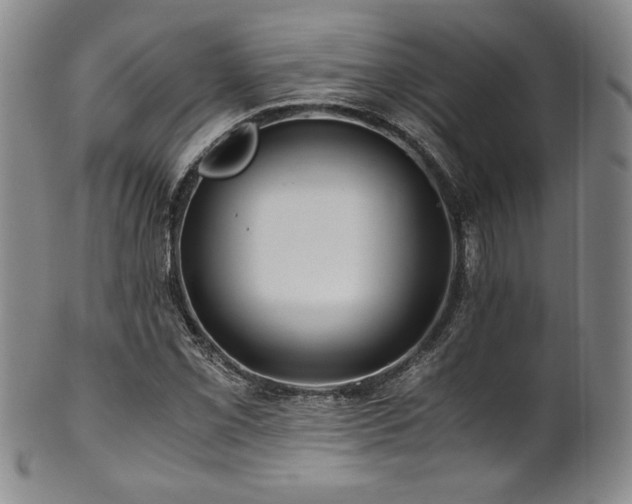 X0000101711069200807101559