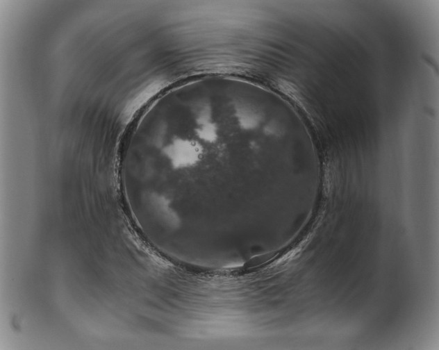 X0000101711071200807101559