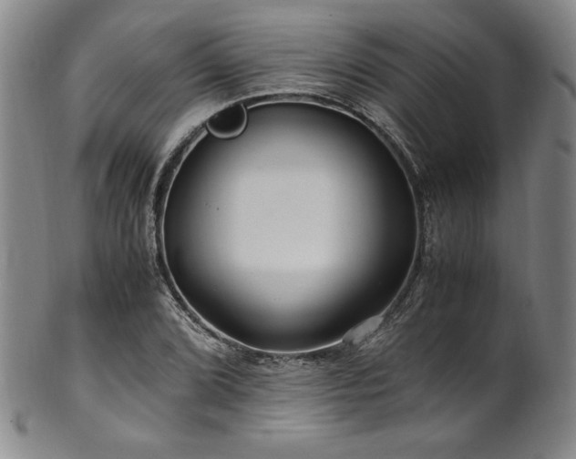 X0000101711072200807101559