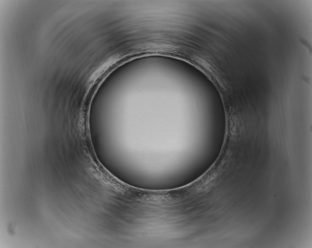 X0000101711074200807101559