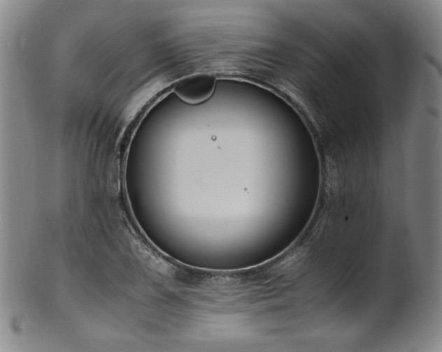 X0000101711075200807101559