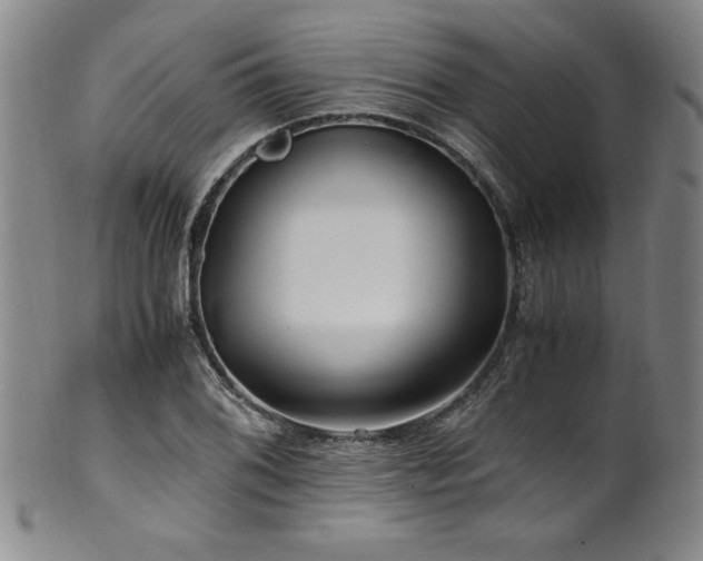 X0000101711076200807101559