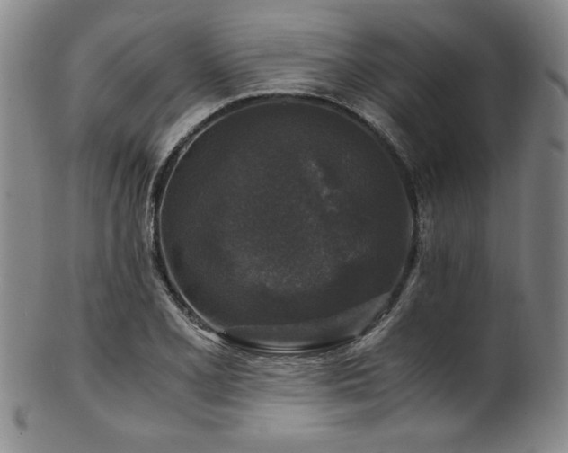 X0000101711077200807101559