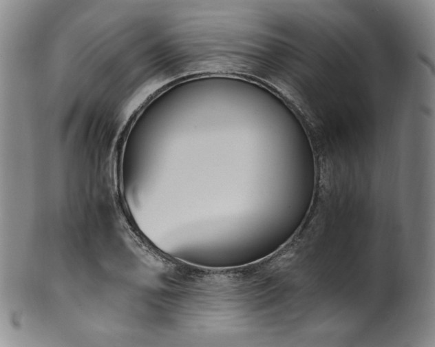 X0000101711078200807101559