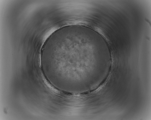X0000101711079200807101559