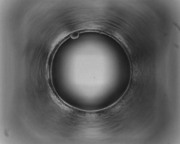 X0000101711080200807101559