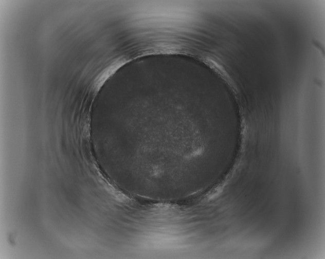 X0000101711081200807101559