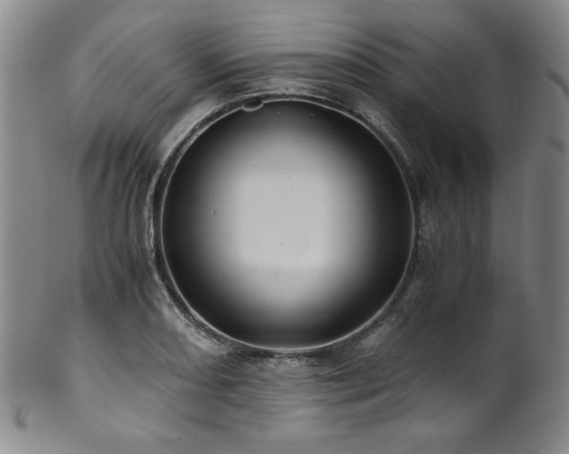 X0000101711082200807101559