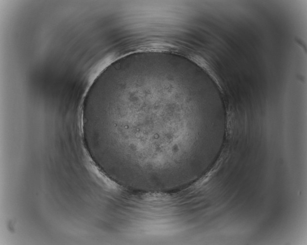X0000101711083200807101559