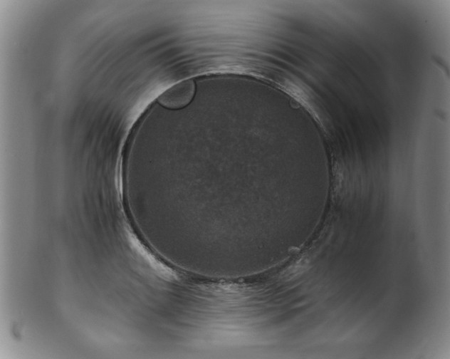 X0000101711084200807101559