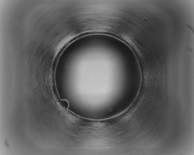 X0000101711085200807101559
