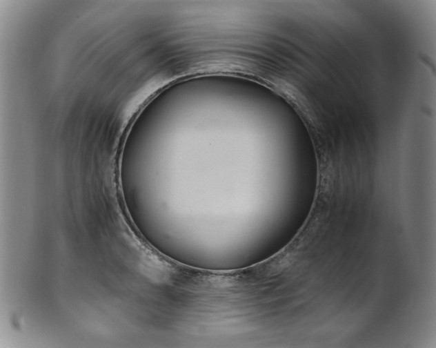 X0000101711086200807101559