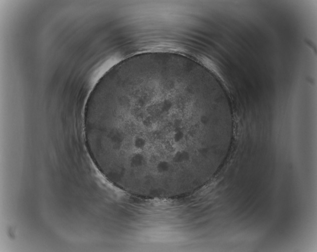 X0000101711087200807101559