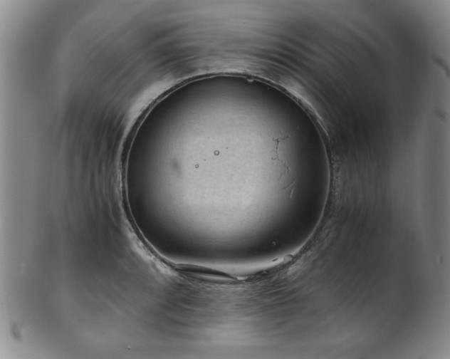 X0000101711088200807101559
