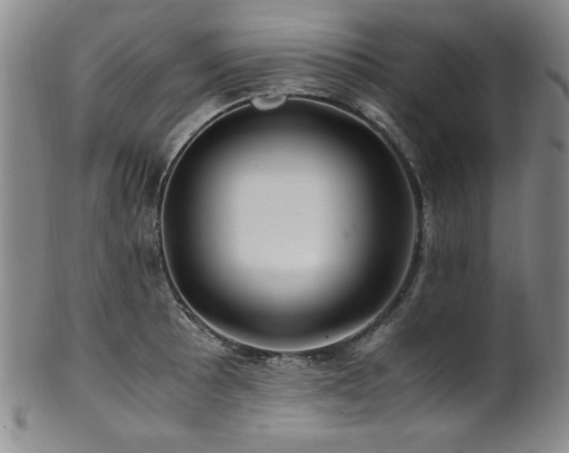 X0000101711089200807101559