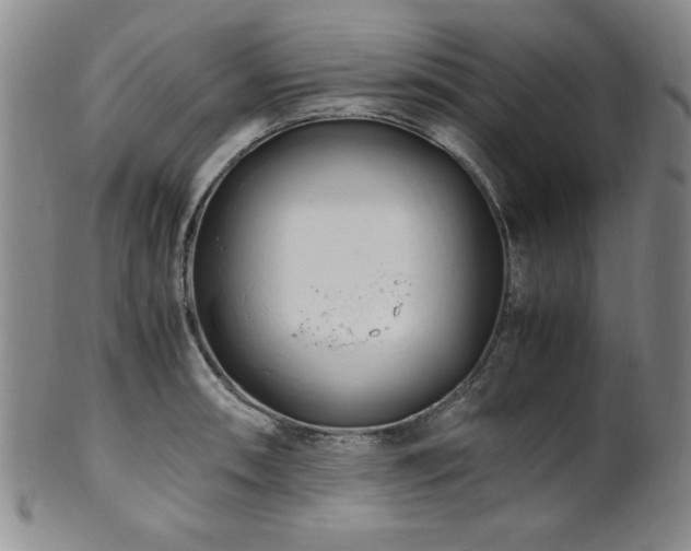 X0000101711090200807101559