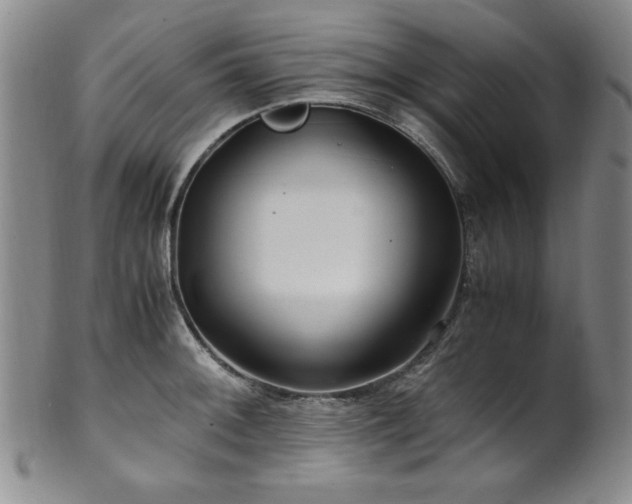 X0000101711092200807101559