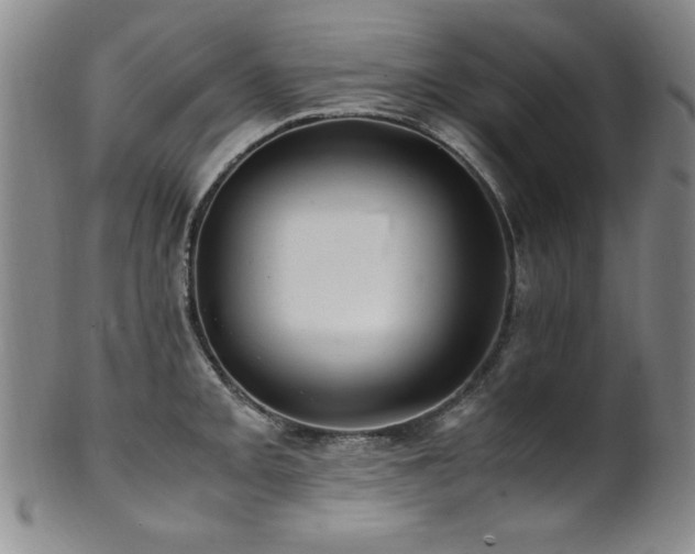 X0000101711093200807101559