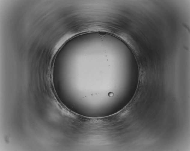 X0000101711094200807101559