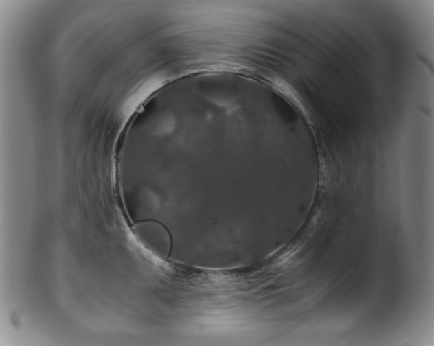 X0000101711095200807101559