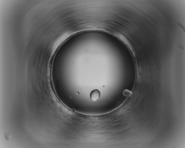 X0000101711096200807101559
