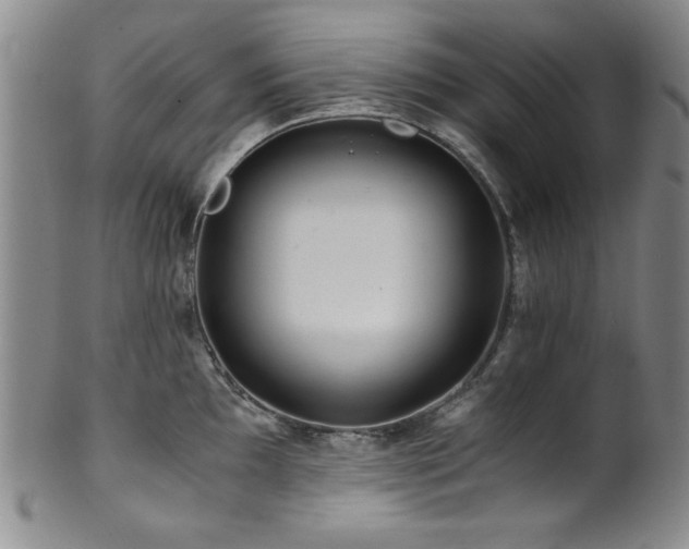 X0000101711097200807101559