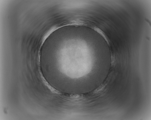 X0000101711099200807101558