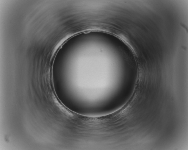 X0000101711100200807101558