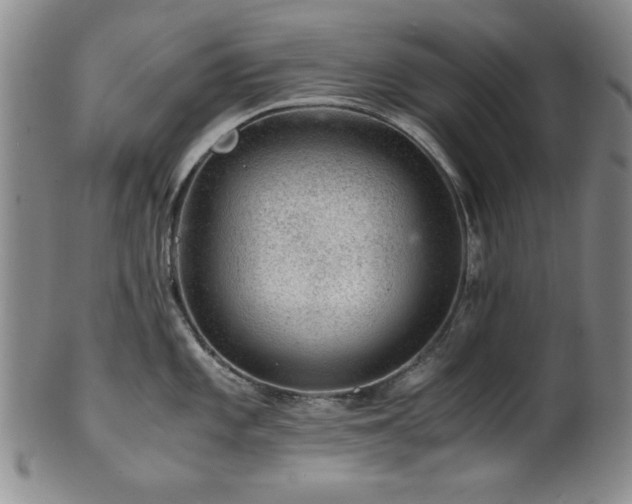 X0000101711101200807101558