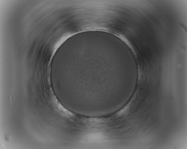X0000101711102200807101558