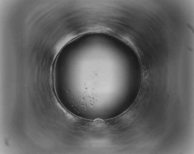 X0000101711103200807101558