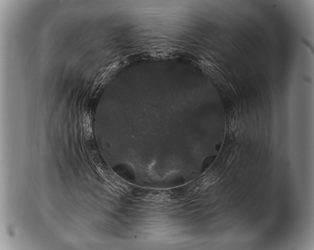 X0000101711106200807101558