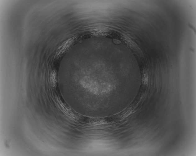 X0000101711108200807101558