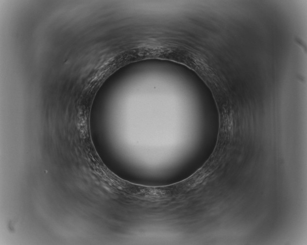 X0000101711109200807101558