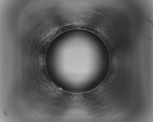 X0000101711110200807101558
