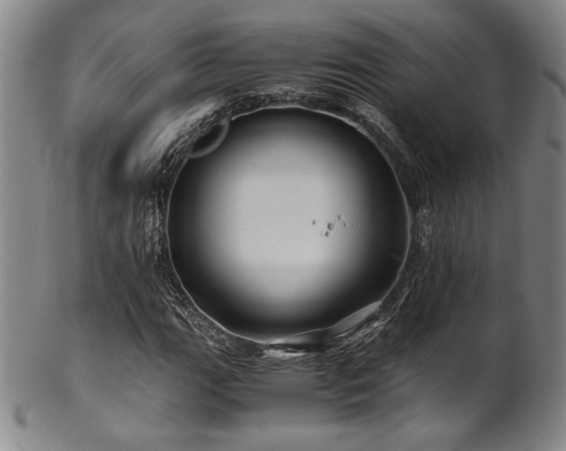 X0000101711111200807101558