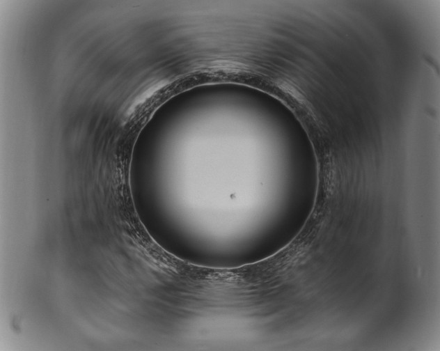 X0000101711112200807101558