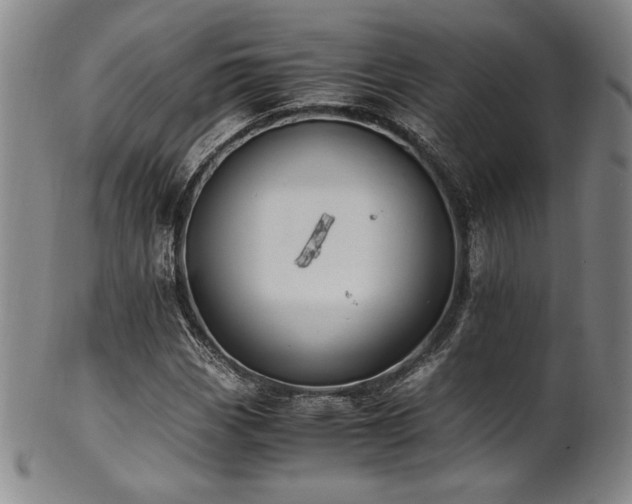 X0000101711113200807101558