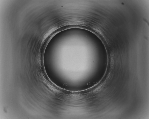 X0000101711114200807101558