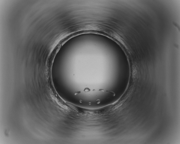 X0000101711116200807101558