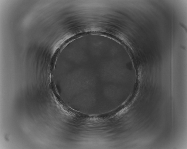 X0000101711117200807101558